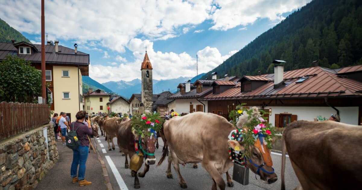 Eventi Da Non Perdere In Val Di Pejo